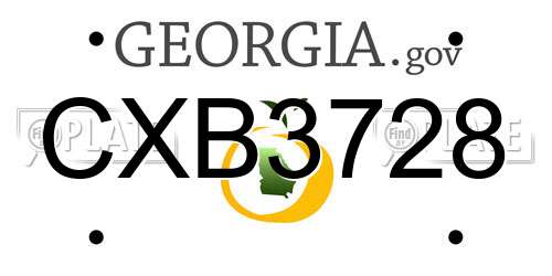 CXB3728 Georgia License Plate