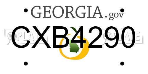 CXB4290 Georgia License Plate
