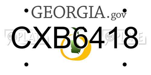CXB6418 Georgia License Plate