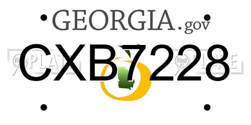 CXB7228 Georgia License Plate