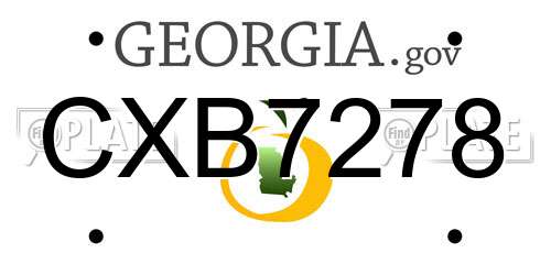 CXB7278 Georgia License Plate