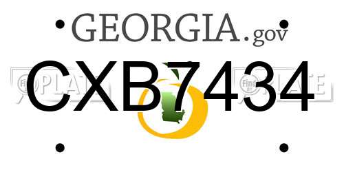 CXB7434 Georgia License Plate