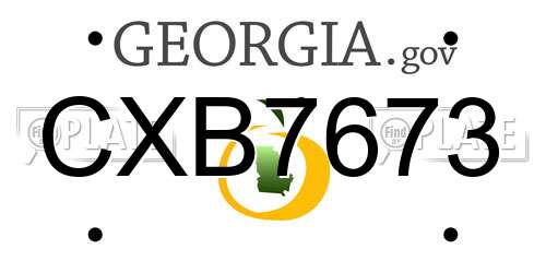CXB7673 Georgia License Plate