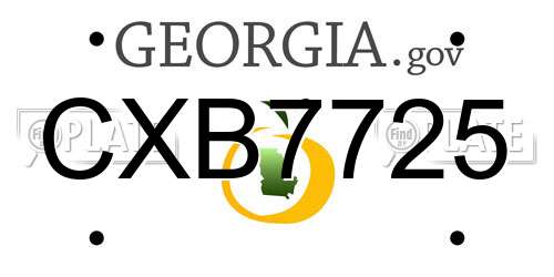 CXB7725 Georgia License Plate