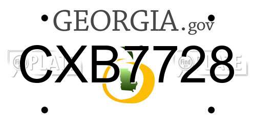 CXB7728 Georgia License Plate