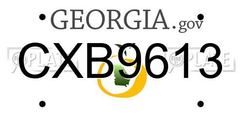 CXB9613 Georgia License Plate