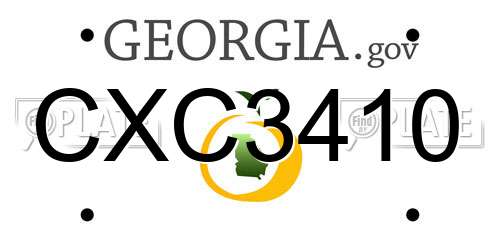 CXC3410 Georgia License Plate