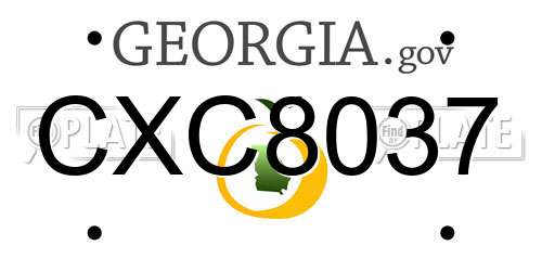 CXC8037 Georgia License Plate