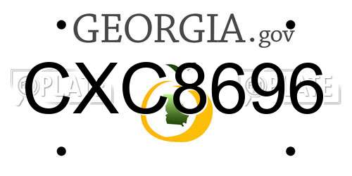 CXC8696 Georgia License Plate