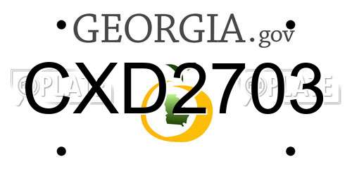 CXD2703 Georgia License Plate