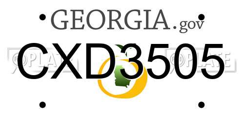 CXD3505 Georgia License Plate