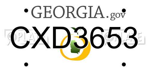 CXD3653 Georgia License Plate