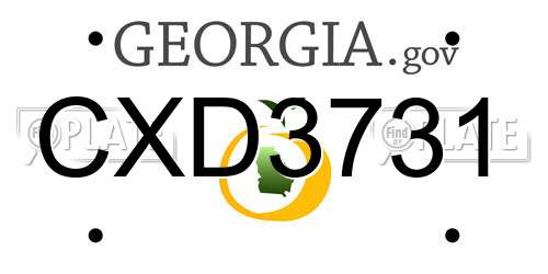 CXD3731 Georgia License Plate