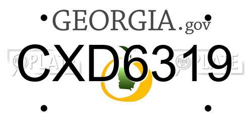CXD6319 Georgia License Plate