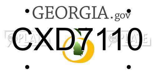 CXD7110 Georgia License Plate