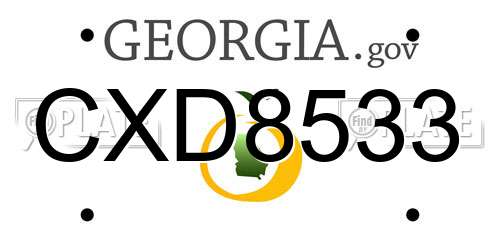 CXD8533 Georgia License Plate