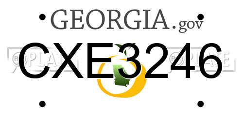 CXE3246 Georgia License Plate