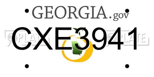 CXE3941 Georgia License Plate