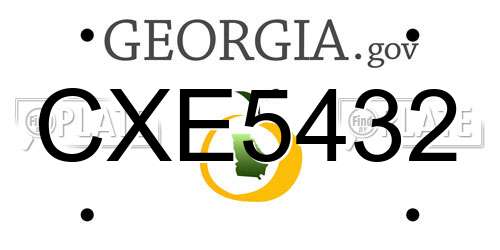 CXE5432 Georgia License Plate