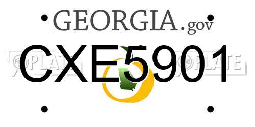 CXE5901 Georgia License Plate