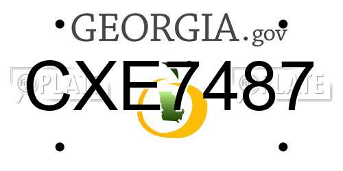CXE7487 Georgia License Plate