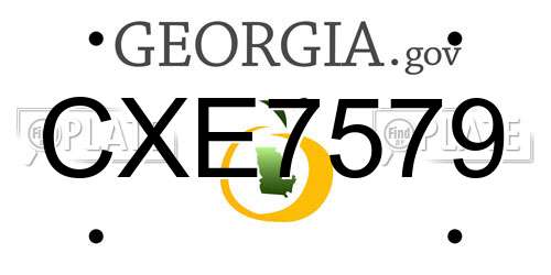 CXE7579 Georgia License Plate