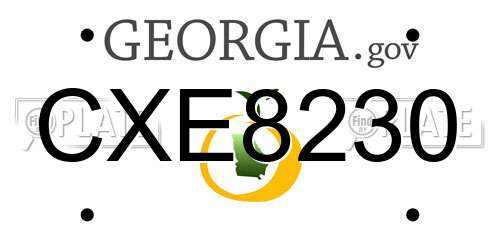 CXE8230 Georgia License Plate