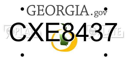 CXE8437 Georgia License Plate