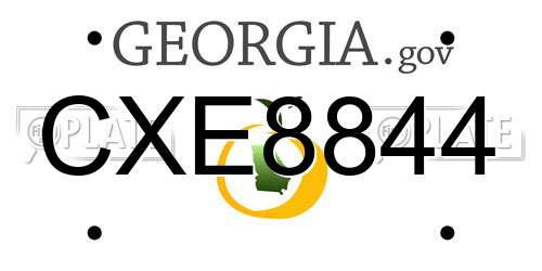 CXE8844 Georgia License Plate
