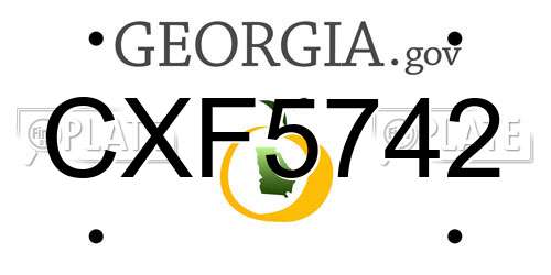 CXF5742 Georgia License Plate