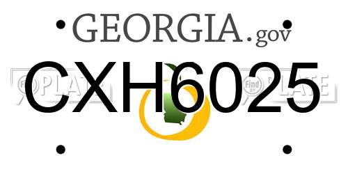 CXH6025 Georgia License Plate