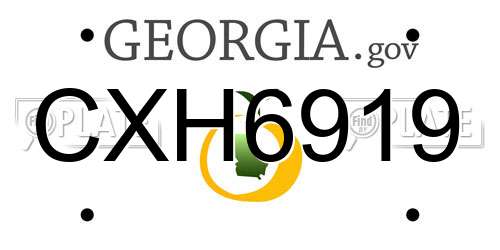 CXH6919 Georgia License Plate