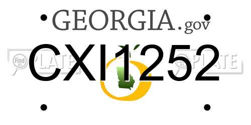 CXI1252 Georgia License Plate