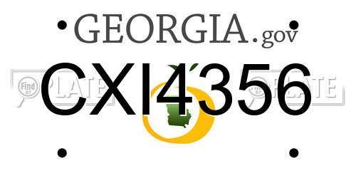 CXI4356 Georgia License Plate