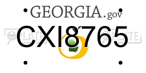 CXI8765 Georgia License Plate
