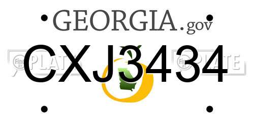 CXJ3434 Georgia License Plate