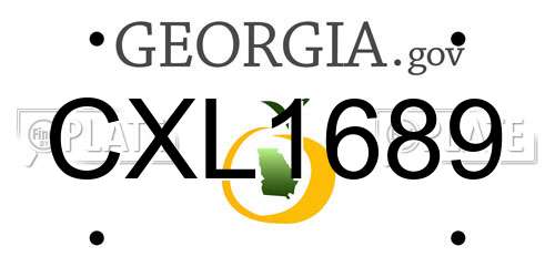 CXL1689 Georgia License Plate