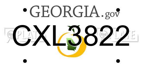 CXL3822 Georgia License Plate