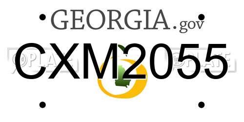 CXM2055 Georgia License Plate