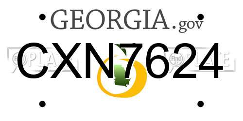 CXN7624 Georgia License Plate