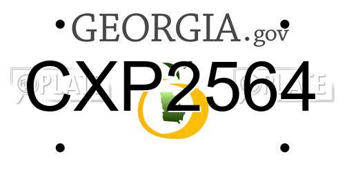 CXP2564 Georgia License Plate