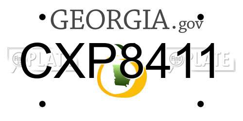 CXP8411 Georgia License Plate