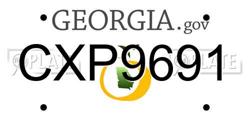 CXP9691 Georgia License Plate