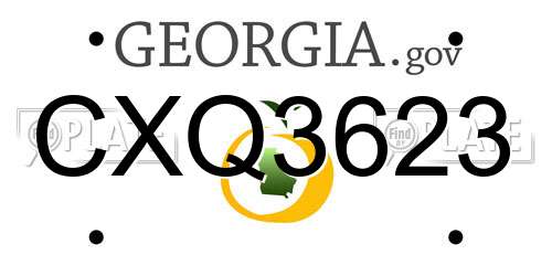 CXQ3623 Georgia License Plate