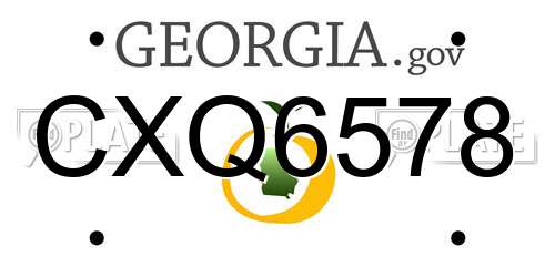 CXQ6578 Georgia License Plate