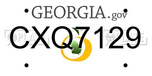 CXQ7129 Georgia License Plate
