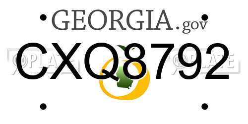 CXQ8792 Georgia License Plate