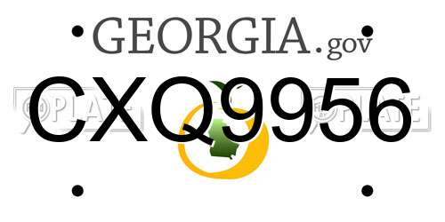 CXQ9956 Georgia License Plate