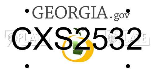CXS2532 Georgia License Plate