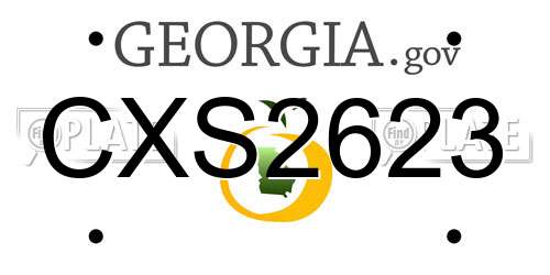CXS2623 Georgia License Plate